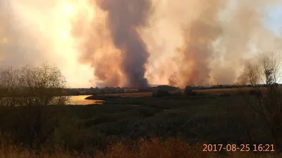 Воспитанники детского оздоровительно-образовательного лагеря «Бригантина»  поздравили сотрудников шарыповской Госавтоинспекции с профессиональным  праздником | 30.06.2022 | Шарыпово - БезФормата