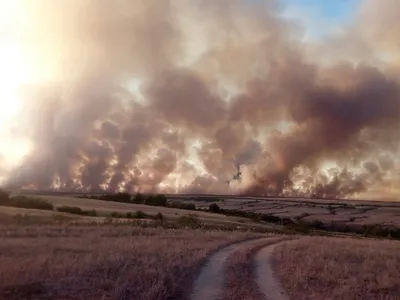 ДОЛ «Солнышко» при МБОУ «Лицей №23» | 30.06.2022 | Озерск - БезФормата