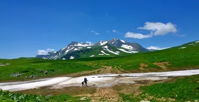 Начало лета на плато Лаго-Наки | Путеводитель по Адыгее | Дзен