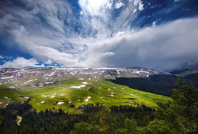 Плато Лаго-Наки - лучшее место для неопытных туристов | По Кубани и Кавказу  | Дзен