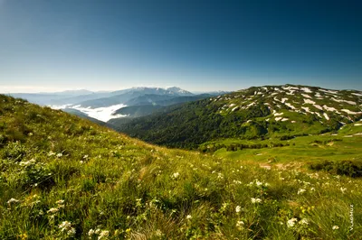 Горное плато Лаго-Наки: путешествие из Краснодара 🧭 цена экскурсии 14500  руб., 7 отзывов, расписание экскурсий в Краснодаре