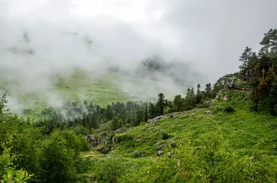 Походы к нагорью Лагонаки ⛰️ Пешие туры без посредников 🔥