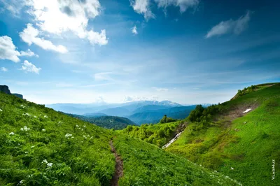 Плато ЛагоНаки (Лаго-Наки) Адыгея Цены, Контакты, Фото, Видео, описание,  экскурсии на плато ЛагоНаки заповедник как добраться | Отдых плато ЛагоНаки  - цены гостиницы база отдыха в ЛагоНаках Краснодарский край | официальный  сайт