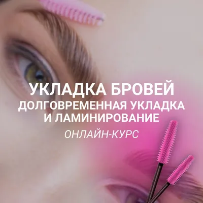 Купить ekko beauty набор для ламинирования бровей и ресниц в  интернет-магазине | Face Market