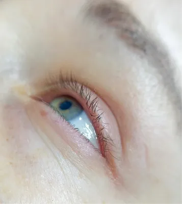 Eyelash_by_Alina - Ой, да у меня короткие ресницы ‼ Или \"У меня нет ресниц\"  Практически каждая моя гостья говорит так про свои ресницы, а после  процедуры #ламинированиересниц восклицают \"Ого, это что мои!?\"