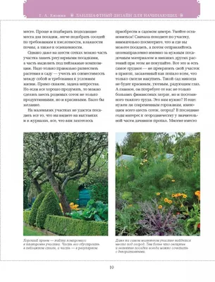 Книга Азбука садового участка, ландшафтный дизайн для начинающих - купить в  Издательство «Эксмо», цена на Мегамаркет
