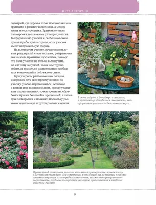 Азбука садового участка. Ландшафтный дизайн для начинающих (нов… – Sefer  Israel - книги на русском языке из Израиля