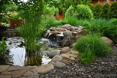красивый пруд для отдыха в саду, отдых возле красивого пруда, отдых возле  пруда в саду Мелитополь, ландшафтный дизайн, ландшафтный дизайн | Royal  Forest