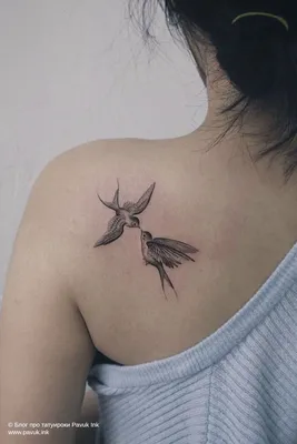 Тату ласточка | ANATOMY TATTOO STUDIO | Дзен