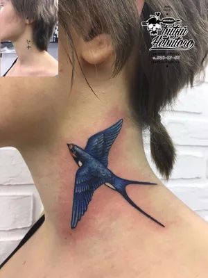 Тату \"Две ласточки\" - tattooshka.com