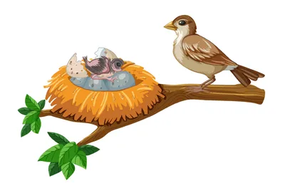 Ласточка ласточкино гнездо у окошка…» — создано в Шедевруме