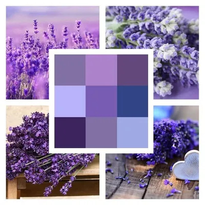 Лавандовый цвет в интерьере | Girls bedroom colors, Purple bedrooms,  Bedroom colors
