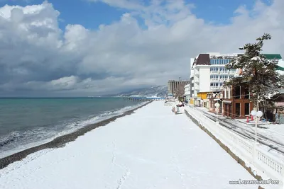 Фотогалерея Курорт зимой в Лазаревское | Фото на сайте Azur.ru