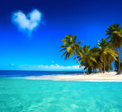 Фото Лазурное море омывает тропический остров с пальмами