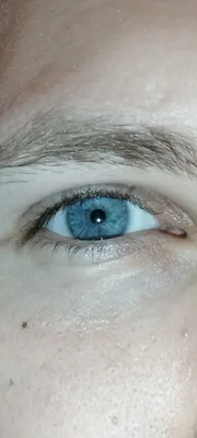 Макияж для голубых глаз: пошаговые примеры с фото | Макияж, Макияж для  голубых глаз, Голубые глаза