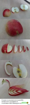 лебеди из яблока ( Swans from Apple ) - YouTube