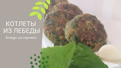 Лебеда: сорняк или вкусная еда? | Дом с Котом | Дзен