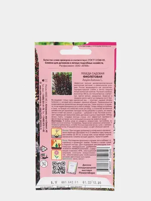 Семена лебеды садовой зеленой / Atriplex hortensis, серия «От автора» - 10  семян купить недорого в интернет-магазине семян OGOROD.ua