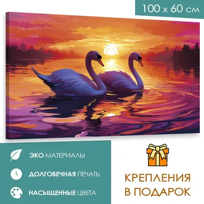 Не торопятся улетать: лебеди на озере в Алматинской области взволновали  местных жителей - 25.10.2020, Sputnik Казахстан