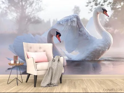 Фреска Лебеди на пруду 30710 купить в Украине | Интернет-магазин Walldeco.ua