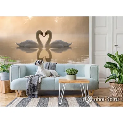 Флизелиновые фотообои на стену с птицами Dekor Vinil \"Пара лебедей в стиле  гранж\" 200х270 см. - купить по выгодной цене в интернет-магазине OZON  (1275055022)