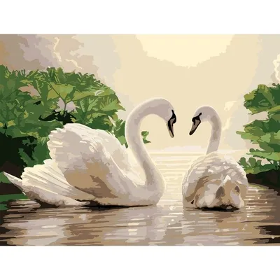 Драма на пруду: истории любви московских лебедей