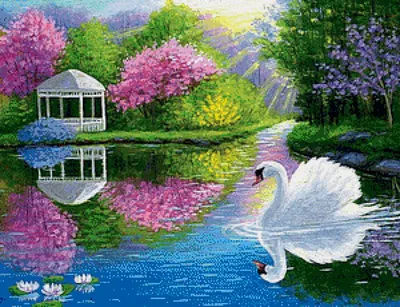 Картина по номерам на холсте .Лебеди на тихом пруду .40х30 см - купить с  доставкой по выгодным ценам в интернет-магазине OZON (809309244)