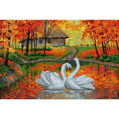 Лебеди на пруду в осеннем парке :: Стоковая фотография :: Pixel-Shot Studio