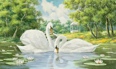 Картина на холсте \"Пара лебедей на пруду\"