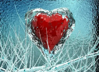 Ледяное сердце | Letrek | Дзен