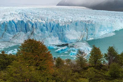 Ледник Perito Moreno - Патагония - Аргентина Стоковое Фото - изображение  насчитывающей плавить, замерзать: 22489900
