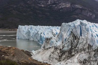 Ледник Перито Морено в парке Лос-Гласьярес, Патагония, Аргентина.  Photographer Larisa Duka