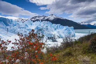 Патагония, ледник Перито Морено — Фото №1326526