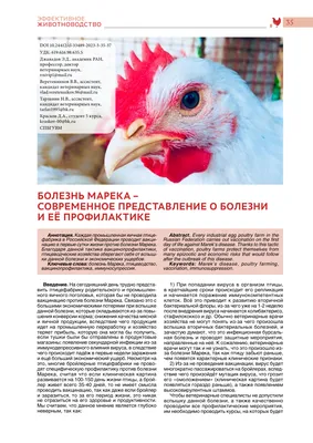Болезнь Марека | Российский аграрный портал