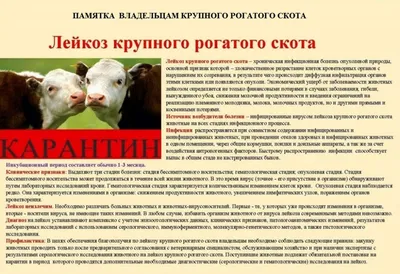 В хозяйстве Высокогорского района зафиксировали вспышку лейкоза у коров -  Татарстан-24