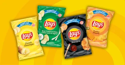 LAY'S® Dill Pickle Flavored Potato Chips