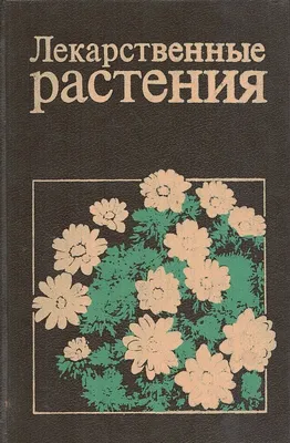 Официальный интернет-магазин «Травы Кавказа» - Лекарственные травы и сборы