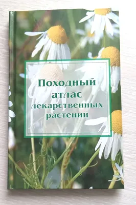 Растения, занесенные в Красную книгу Краснодарского края