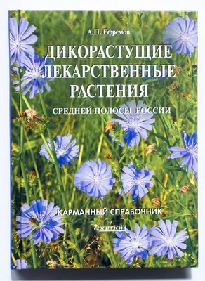 Купить Травы Кавказа сбор Зеленая аптека №11 при повышенном давлении крови  (гипертонии) 225 г по Промокоду SIDEX250 в г. Иркутск + обзор и отзывы - Лекарственные  растения в Иркутск (Артикул: NZFZWXZ)