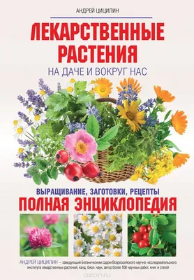 Лекарственный огород: для чего нужен, плюсы выращивания, советы