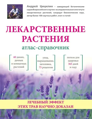 Аптекарский огород на дачном участке: как создать и ухаживать. Лучшие  советы от опытных садоводов - Форум Все сорта