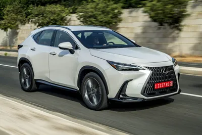 Lexus NX200: то, что доктор прописал!