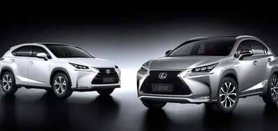 Известно, сколько будет стоить новый Lexus NX в Беларуси