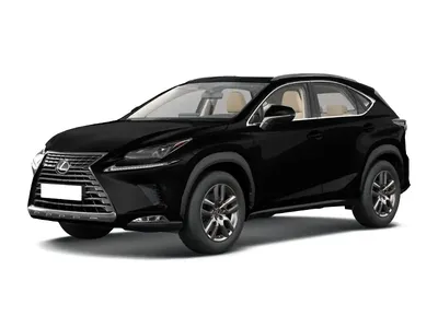 Lexus NX (Лексус Н ИКС 300 АВД) 2019 купить в Москве, комплектации, цены,  фото, новая модель | Major Auto - официальный дилер Lexus в Москве