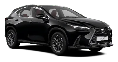 Lexus NX 200: все в одной машине с аукционов Японии - JapanTrek co. Ltd