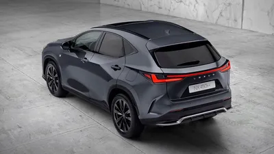 Lexus NX 200 (2014-2021) цена и характеристики, фотографии и обзор