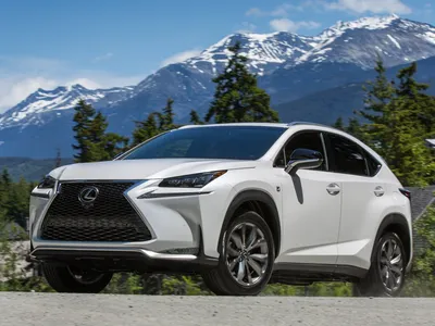 Фото Lexus NX - фотографии, фото салона Lexus NX, II поколение