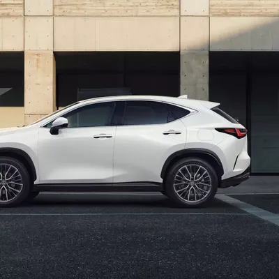 Lexus NX 450h - фото салона, новый кузов