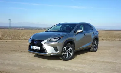 Коврики в салон Lexus NX. Варианты, цены, фото.