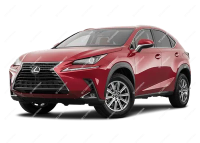 Lexus NX 200 - фото салона, новый кузов